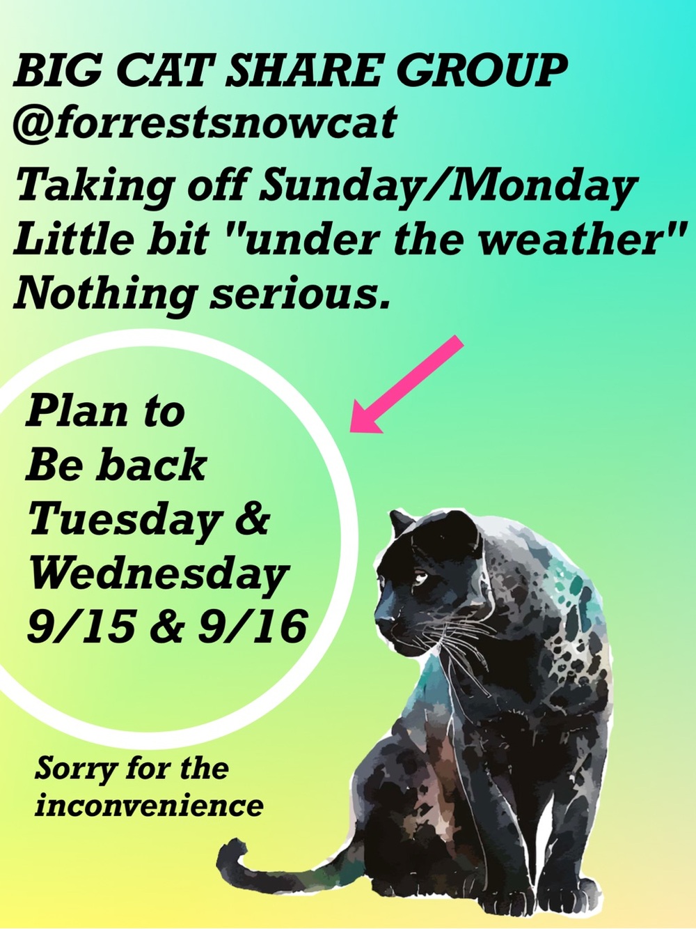 BIG CAT SHARE GROUP BACK TUESDAY 9/15